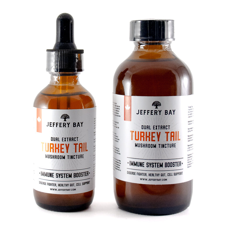 Turkey Tail Dual Tincture