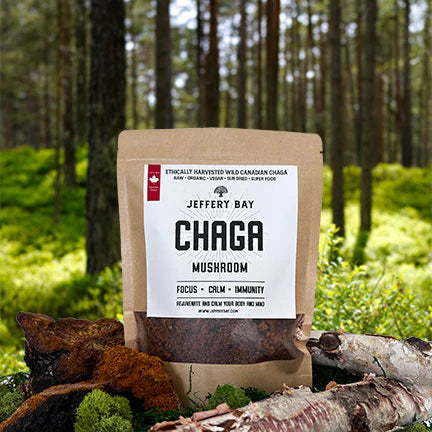 Canadian Chaga